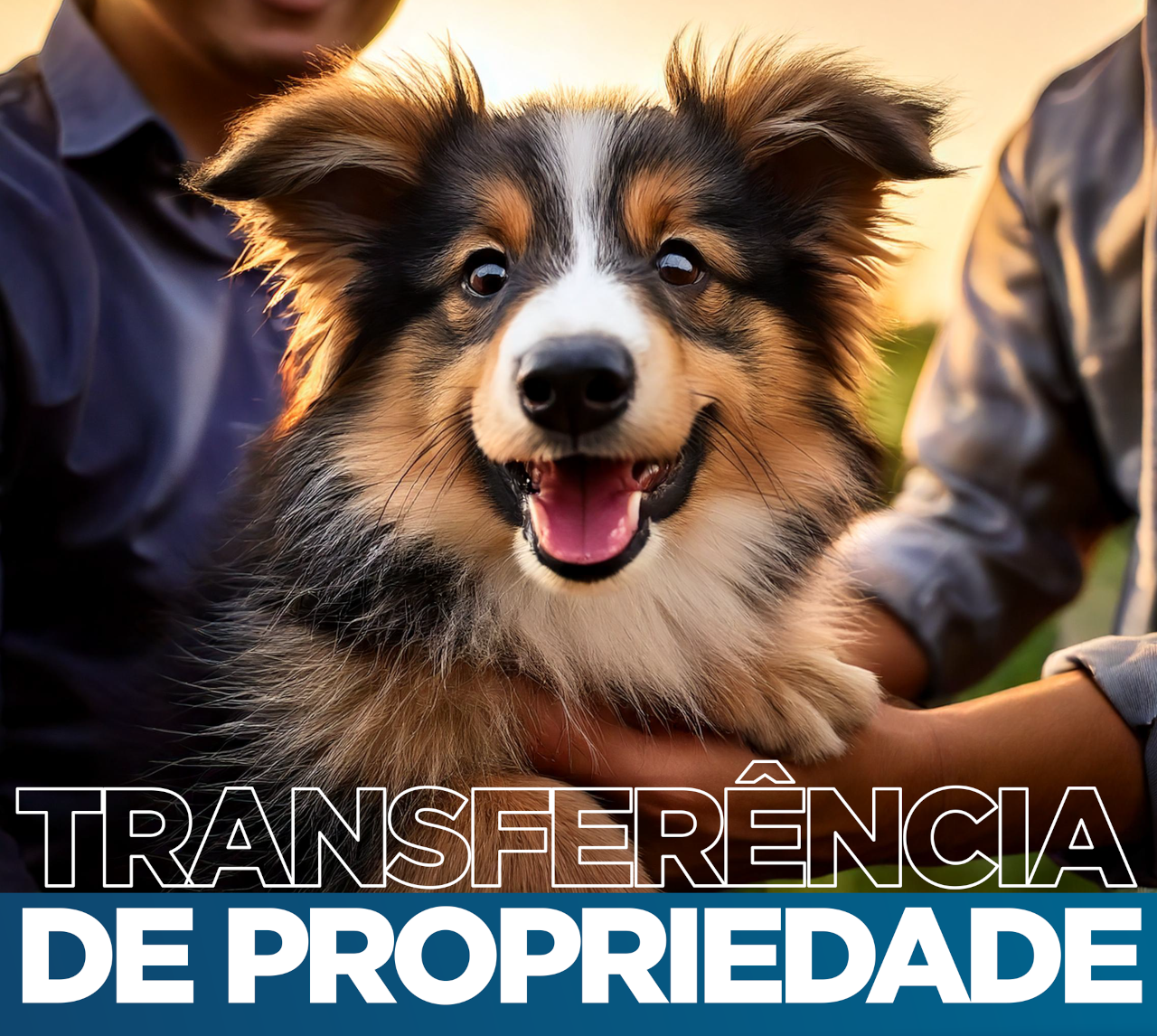 Transferência de Propriedade CBKC